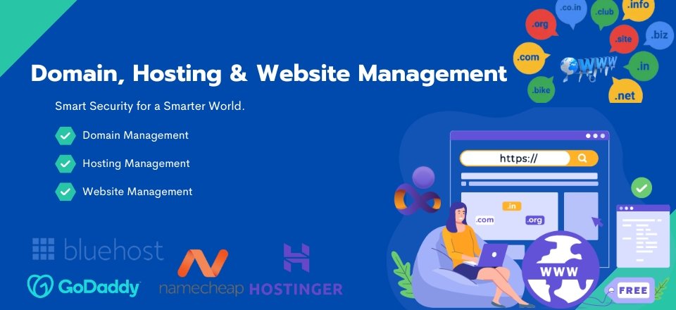 Domain Hosting Website Management1